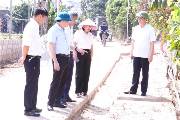 HĐND thành phố khảo sát, nắm bắt tiến độ các dự án trên địa bàn phường Bắc An Phụ
