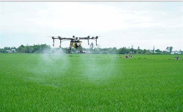 HTX DVNN XÃ BẮC THANH MIỆN TẬP TRUNG CHỈ ĐẠO PHÒNG TRỪ DỊCH HẠI LÚA XUÂN