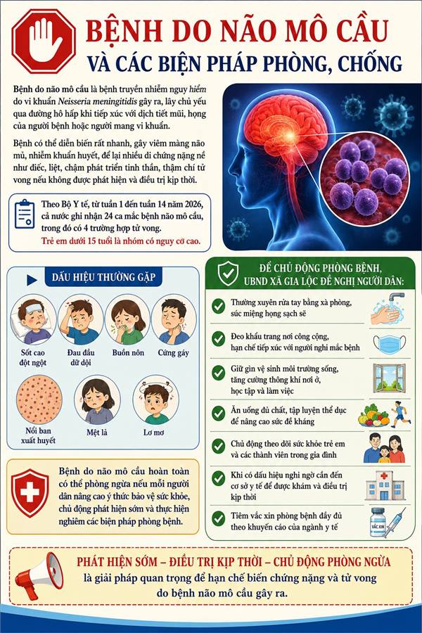 BỆNH DO NÃO MÔ CẦU VÀ CÁC BIỆN PHÁP PHÒNG, CHỐNG 