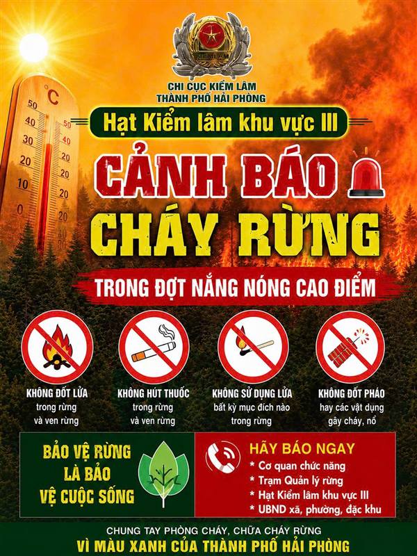 CẢNH BÁO CHÁY RỪNG TRONG ĐỢT NẮNG NÓNG CAO ĐIỂM