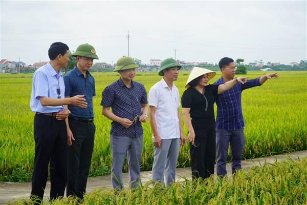BÌNH GIANG TĂNG CƯỜNG CÔNG TÁC KIỂM TRA ĐỒNG RUỘNG, SÁT CÁNH CÙNG BÀ CON NÔNG DÂN
