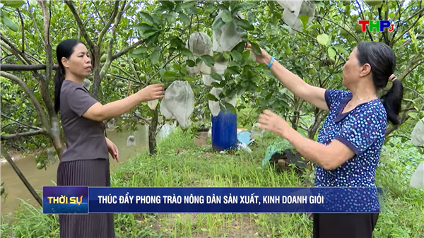 Hội Nông dân xã cẩm Giang thúc đẩy phong trào nông dân sản xuất, kinh doanh giỏi