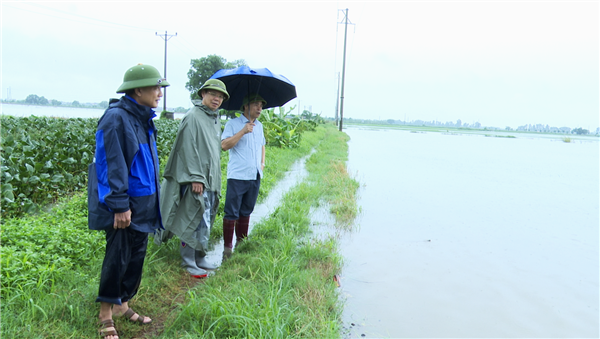 Cẩm Giàng tập trung khắc phục hậu quả mưa lũ sau bão