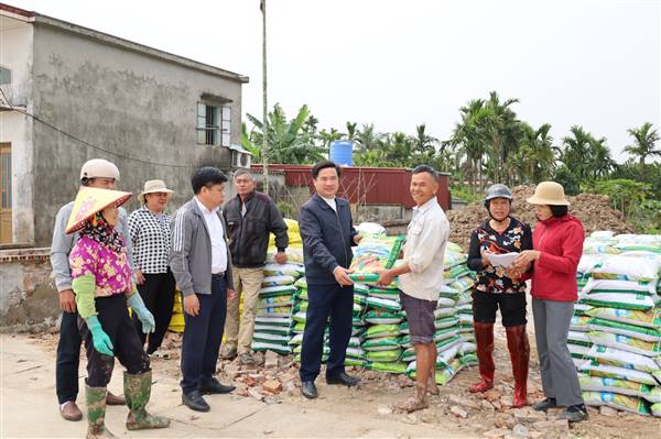 XÃ CHẤN HƯNG CẤP PHÁT KỊP THỜI PHÂN BÓN LÓT CHO MÔ HÌNH CÁNH ĐỒNG MẪU LỚN