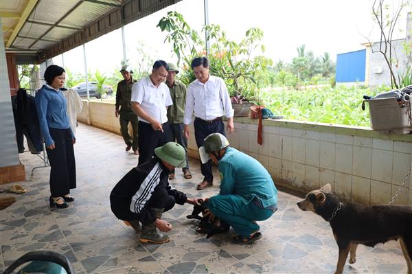 XÃ CHẤN HƯNG TRIỂN KHAI TIÊM PHÒNG BỆNH DẠI CHO ĐÀN CHÓ, MÈO NĂM 2026