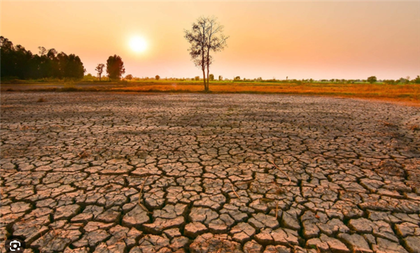 Chủ động ứng phó nguy cơ thiếu hụt
nguồn nước do ảnh hưởng của El Nino