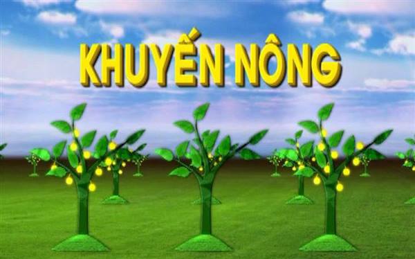 Quy định mới về Trung tâm khuyến nông cấp tỉnh  