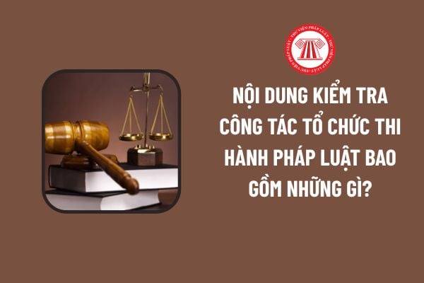 Đẩy mạnh công tác theo dõi tình hình thi hành
 pháp luật năm 2025

