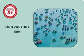 Tuyên truyền triển khai thực hiện Nghị định số 301/2025/NĐ-CP ngày 17/11/2025 của Chính phủ sửa đổi, bổ sung một số điều của Nghị định số 38/2024/NĐ-CP ngày 05/4/2024 của Chính phủ quy định xử phạt vi phạm hành chính trong lĩnh vực thủy sản