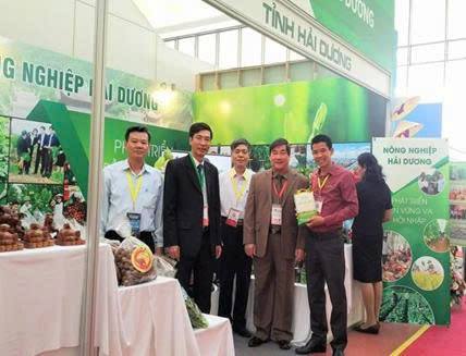 Giới thiệu món ngon xã Chí Minh: Gạo hữu cơ bãi rươi - tinh hoa của đất trời xã Chí Minh, Hải Phòng