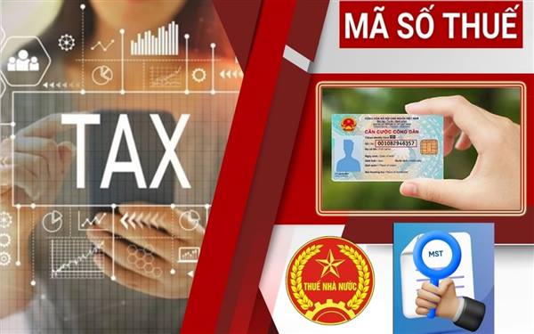 Nộp thuế, quỹ đúng quy định – Trách nhiệm và quyền lợi của mỗi công dân