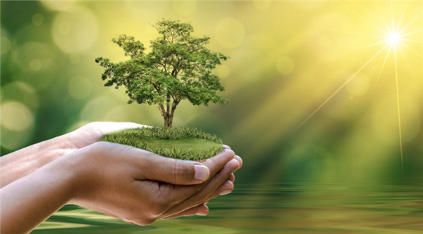Triển khai thực hiện Quyết định về phân loại dự án đầu tư xanh