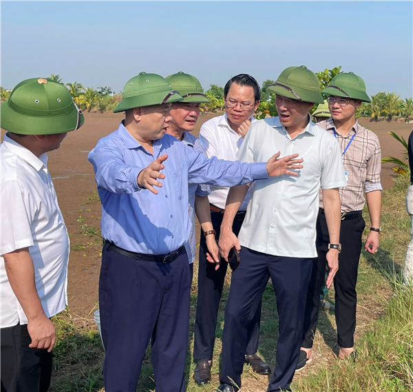 Chủ tịch UBND thành phố Hải Phòng thăm, kiểm tra vùng sản xuất lúa rươi hữu cơ tại xã Chí Minh