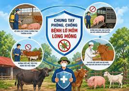 Hướng dẫn các biện pháp phòng chống dịch bệnh Lở mồm long móng