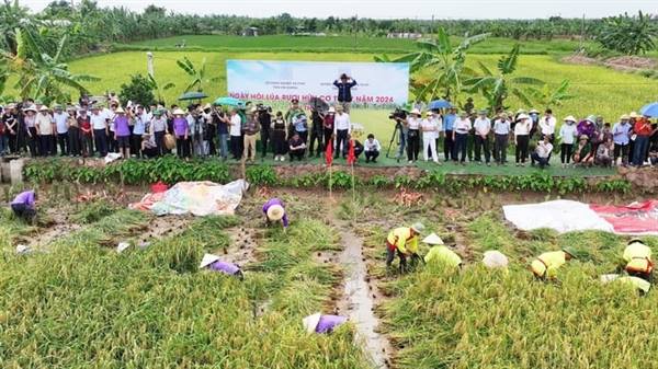 UBND xã Chí Minh thống nhất tổ chức 

Ngày hội lúa rươi hữu cơ năm 2026 vào ngày 6/6