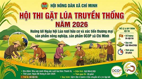 Chí Minh tích cực chuẩn bị Hội thi Gặt lúa