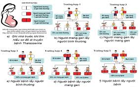 Hiểu đúng về căn bệnh Thalassemia