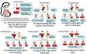 Sàng lọc mang gen bệnh tan máu bẩm sinh (Thalassemia): Đơn giản nhưng mang  nhiều ý nghĩa! | Khoa học thường thức