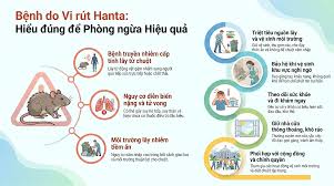 Chủ động phòng chống bệnh do Virus Hanta: Bảo vệ sức khỏe cộng đồng