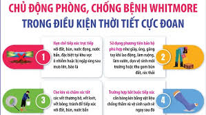 Chủ động phòng, chống bệnh Whitmore trong điều kiện thời tiết cực đoan