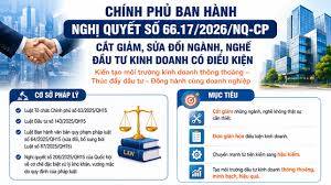 Tăng cường tuyên truyền Nghị quyết số 66.17 của Chính phủ về cải thiện môi trường đầu tư kinh doanh