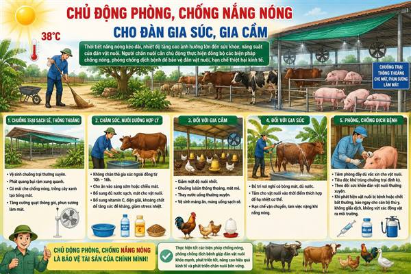 Chủ động phòng, chống nắng nóng cho cây trồng, vật nuôi