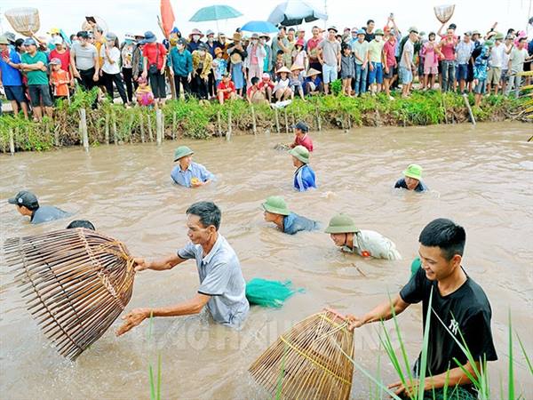 Xã Chí Minh khuyến cáo người dân chung tay xây dựng hình ảnh đẹp tại Ngày hội lúa rươi hữu cơ và xúc tiến thương mại năm 2026