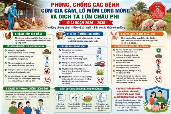 Chủ động triển khai đồng bộ biện pháp

 phòng, chống cúm gia cầm