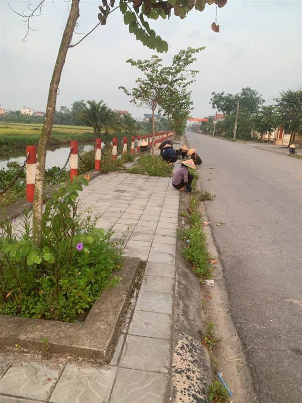 Các tổ chức hội xã Chí Minh ra quân vệ sinh môi trường, chuẩn bị Ngày hội lúa rươi hữu cơ và xúc tiến thương mại sản xuất nông nghiệp, sản phẩm OCOP năm 2026