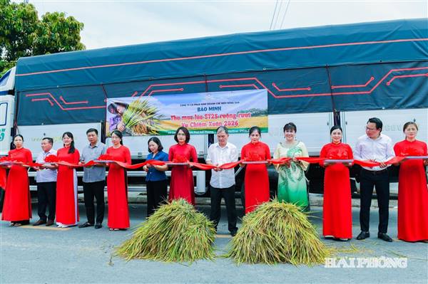 Xã Chí Minh tổ chức thành công Ngày hội lúa rươi hữu cơ và xúc tiến thương mại sản phẩm nông nghiệp, sản phẩm OCOP năm 2026