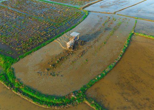 Khẩn trương làm đất, xuống giống vụ mùa