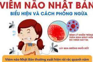 Đẩy mạnh truyền thông phòng, chống bệnh viêm não vi rút và viêm não Nhật Bản