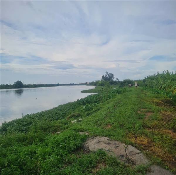 Nghiêm cấm các hành vi gây ảnh hưởng công trình đê điều, thủy lợi trong mùa mưa bão