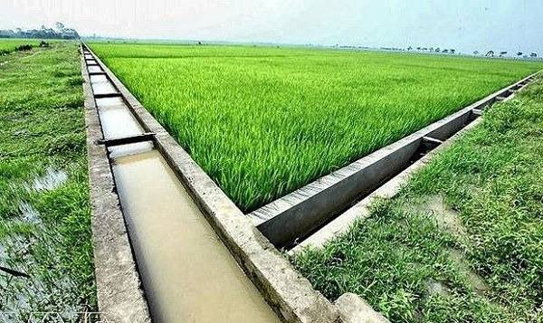 Chí Minh tăng tốc khơi thông dòng chảy, bảo đảm phục vụ sản xuất