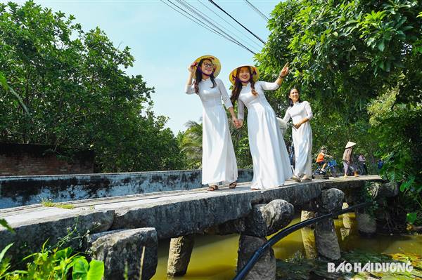 Chiêm ngưỡng những cây cầu đá cổ ở xã Chí Minh