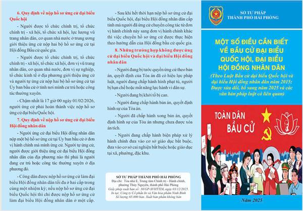 MỘT SỐ ĐIỀU CẦN BIẾT VỀ BẦU CỬ ĐẠI BIỂU QUỐC HỘI, ĐẠI BIỂU HĐND