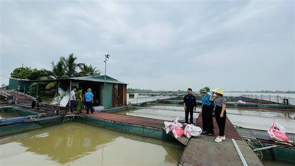 Xã Đại Sơn khẩn trương kiểm tra các điểm xung yếu, chủ động ứng phó với bão số 3 (bão Wipha)
