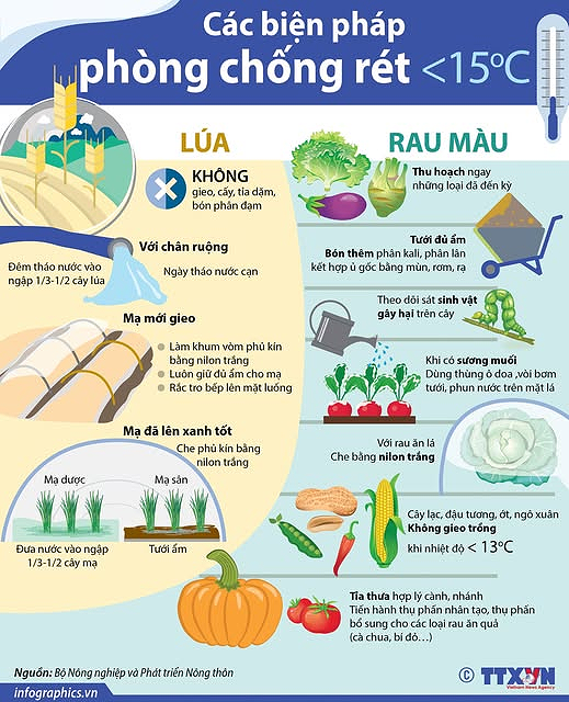 Đại Sơn tăng cường chỉ đạo ứng phó với rét đậm, rét hại trong sản xuất vụ Đông Xuân.