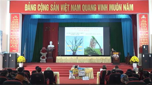 Tập huấn chuyển giao KHKT, cung ứng phân bón vụ chiêm xuân năm 2026 cho hội viên nông dân