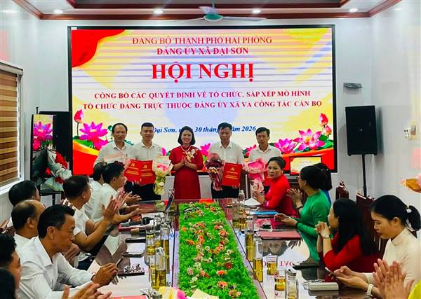 Đại Sơn tổ chức Hội nghị công bố các quyết định về kiện toàn, sắp xếp tổ chức Đảng