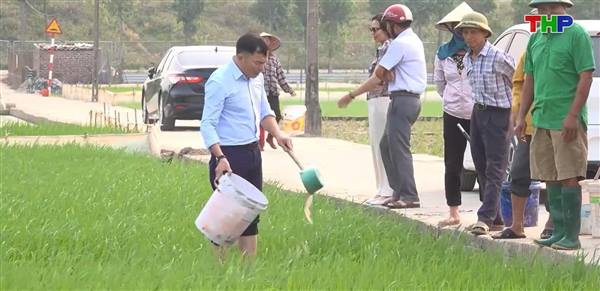 Trung tâm Dịch vụ sự nghiệp công xã Đại Sơn tập huấn chuyển giao kỹ thuật sản xuất lúa giảm phát thải.