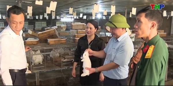 Đại Sơn phát triển nông nghiệp công nghệ cao an toàn và bền vững