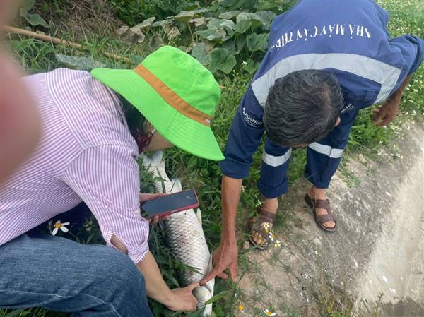 Đại Sơn tăng cường phòng, chống dịch bệnh thủy sản