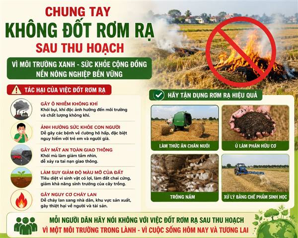 Chung tay nói không với việc đốt rơm rạ sau thu hoạch