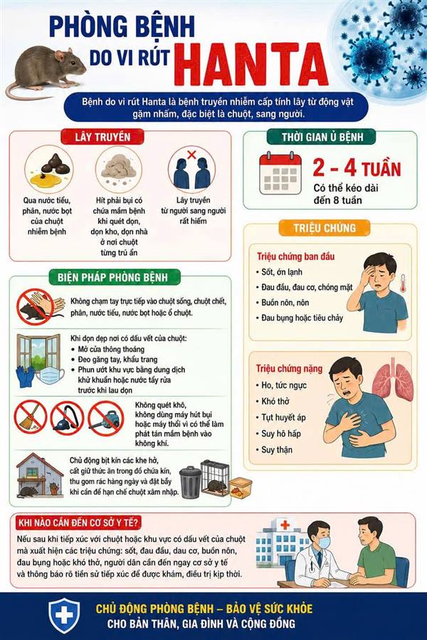 Virus Hanta lây như thế nào? Cách bảo vệ bản thân và gia đình