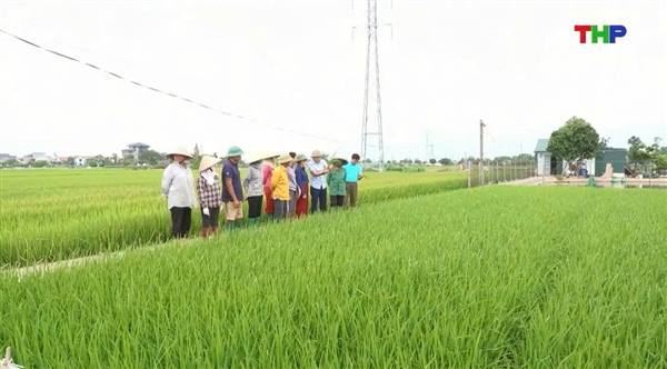 Tập huấn định hướng chuyển đổi xanh trong sản xuất nông nghiệp
