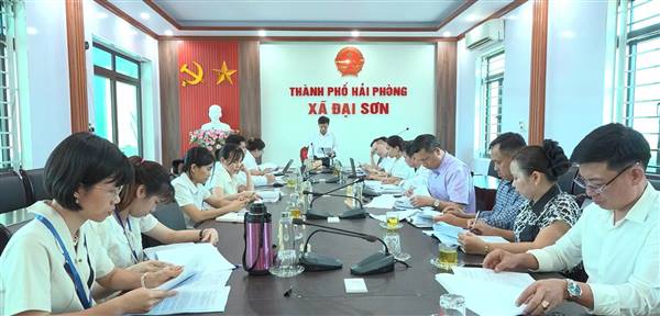 HĐND xã Đại Sơn giám sát chuyên đề về quản lý tài sản công