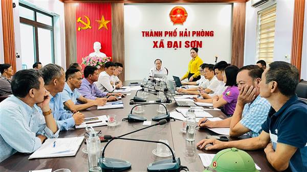 Đại Sơn quyết tâm xây dựng môi trường xanh, sạch, đẹp và phát triển bền vững