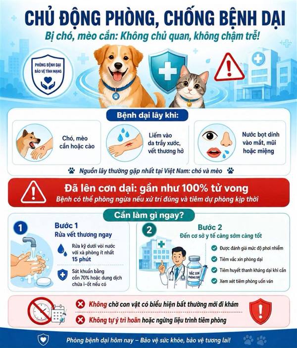 Tăng cường công tác truyền thông phòng, 
chống bệnh dại năm 2026 