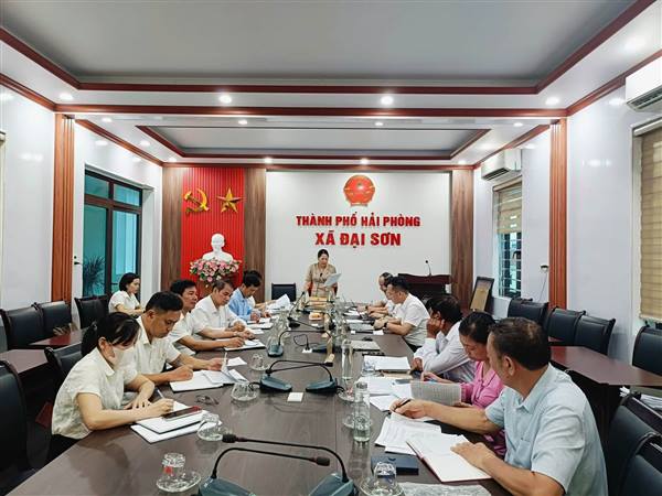 Thường trực HĐND xã Đại Sơn giám sát chuyên đề về quản lý, sử dụng quỹ đất công, đất công ích